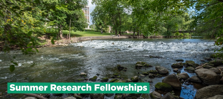 Summer Research Fellowships